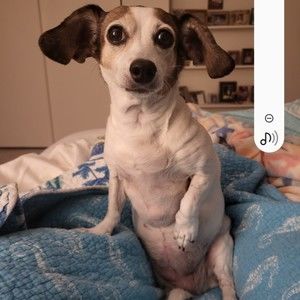 Meet your Posher, Carol